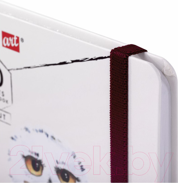 Изображение товара Скетчбук Brauberg Art Debut Хогвартс / 114581 (80л)