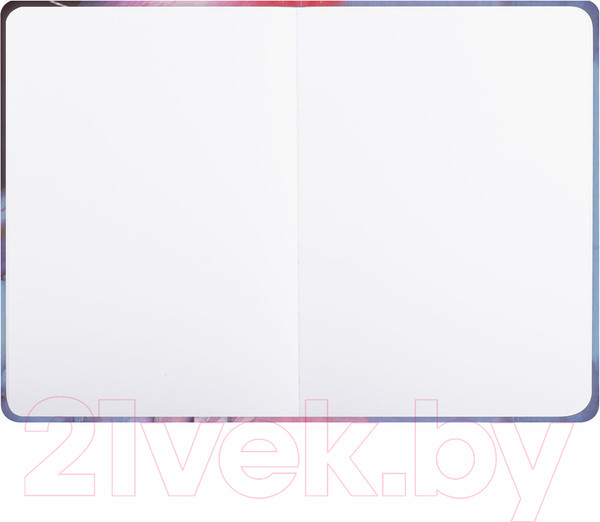 Изображение товара Скетчбук Brauberg Art Debut Фламинго / 114584