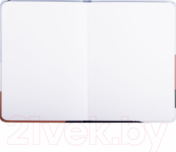 Изображение товара Скетчбук Brauberg Art Debut Дюна / 114586