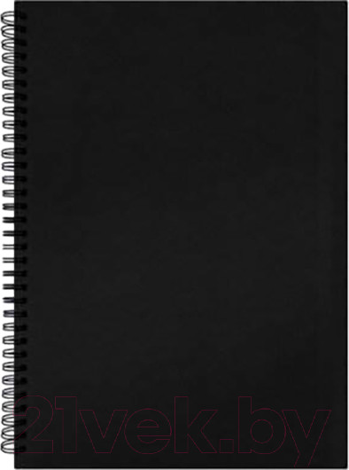 Изображение товара Скетчбук Brauberg Art / 115072 (черный)