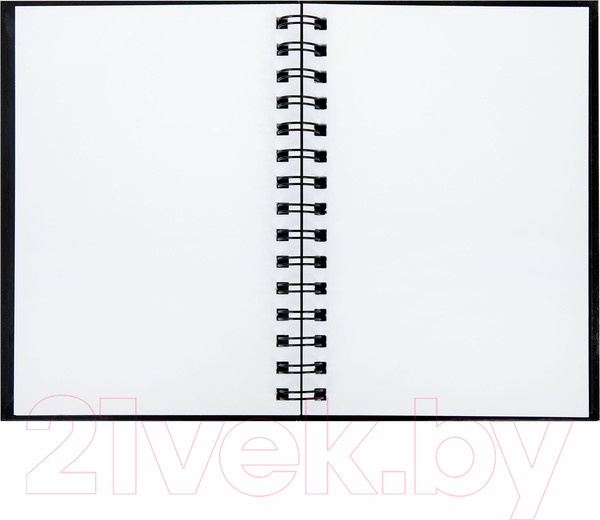 Изображение товара Скетчбук Brauberg Art / 115072 (черный)