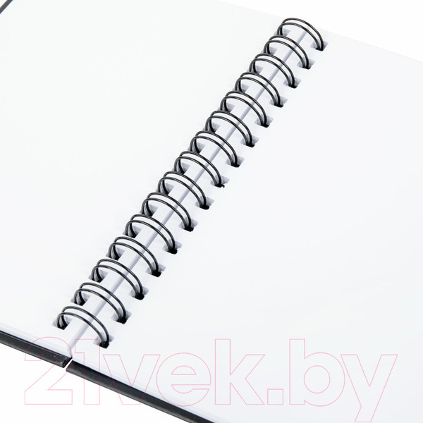 Изображение товара Скетчбук Brauberg Art / 115072 (черный)