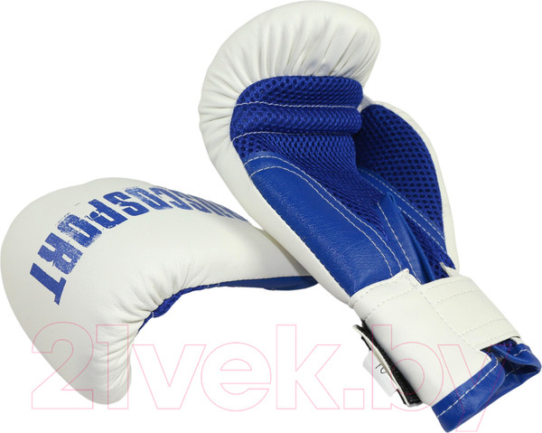 Изображение товара Боксерские перчатки RuscoSport 6oz (бело-синий)