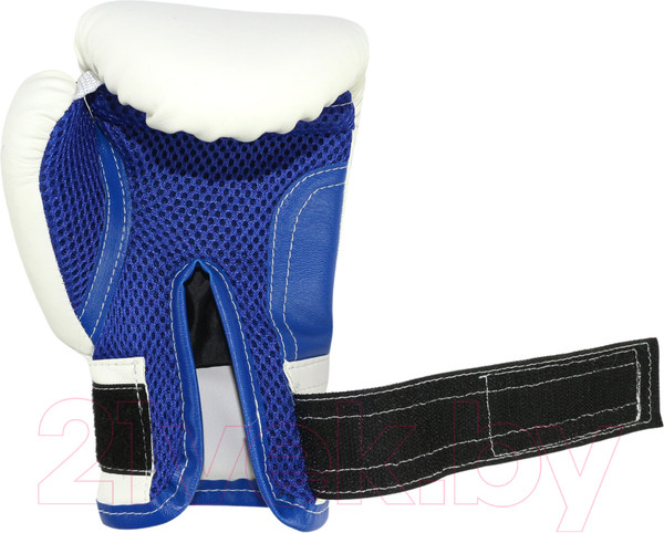 Изображение товара Боксерские перчатки RuscoSport 6oz (бело-синий)