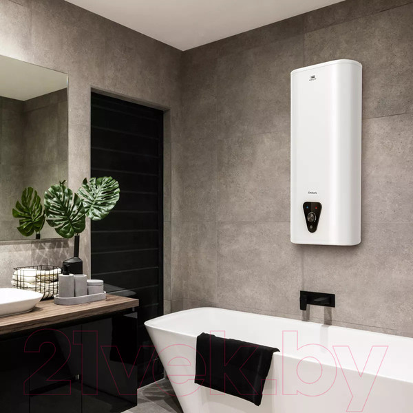 Изображение товара Накопительный водонагреватель Timberk SWH FSK7 100 V