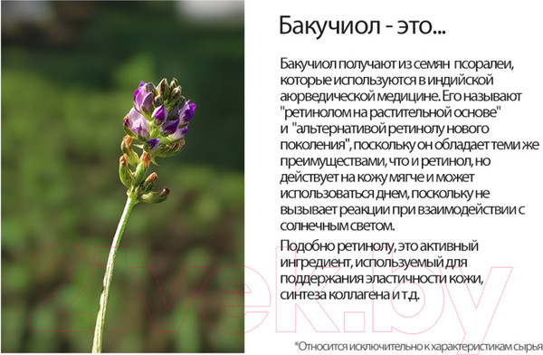 Изображение товара Сыворотка для лица Derma Factory Bakuchiol 5% Ampoule (20мл)