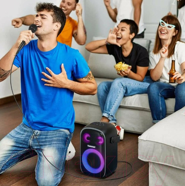 Изображение товара Портативная колонка Tronsmart Halo 110 (черный)