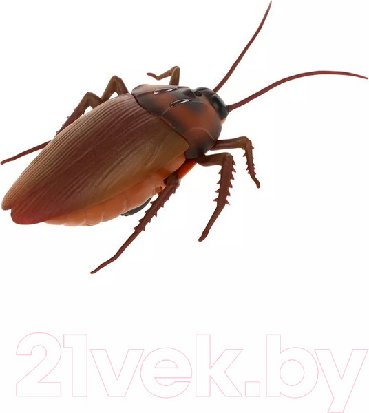 Изображение товара Интерактивная игрушка Наша игрушка Таракан / 9916S