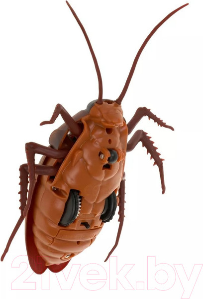 Изображение товара Интерактивная игрушка Наша игрушка Таракан / 9916S