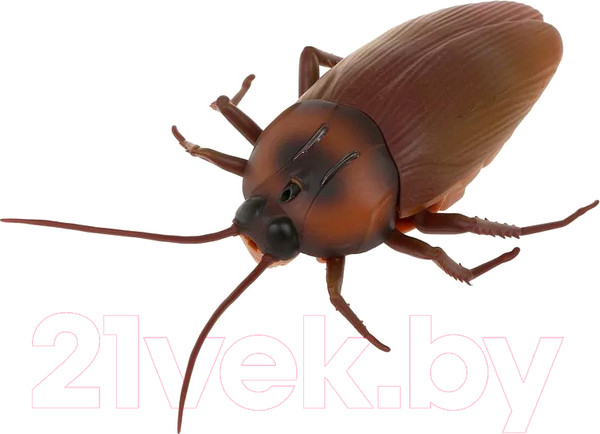 Изображение товара Интерактивная игрушка Наша игрушка Таракан / 9916S