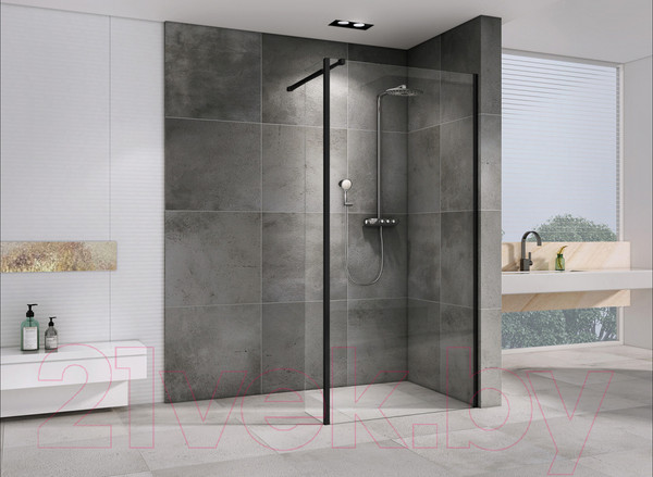 Изображение товара Душевая стенка Abber Immer Offen AG66100B