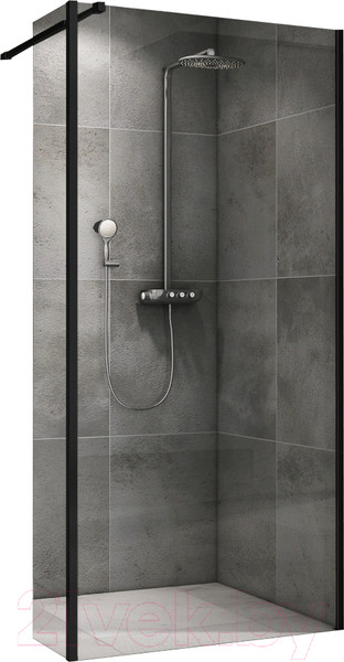 Изображение товара Душевая стенка Abber Immer Offen AG66100B