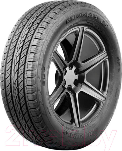 Изображение товара Летняя шина Antares Majoris R1 235/55R19 101V