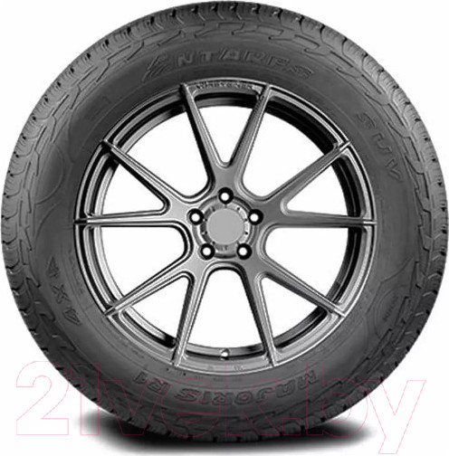 Изображение товара Летняя шина Antares Majoris R1 235/55R19 101V