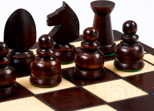 Изображение товара Шахматы Sima-Land Королевские 4963444