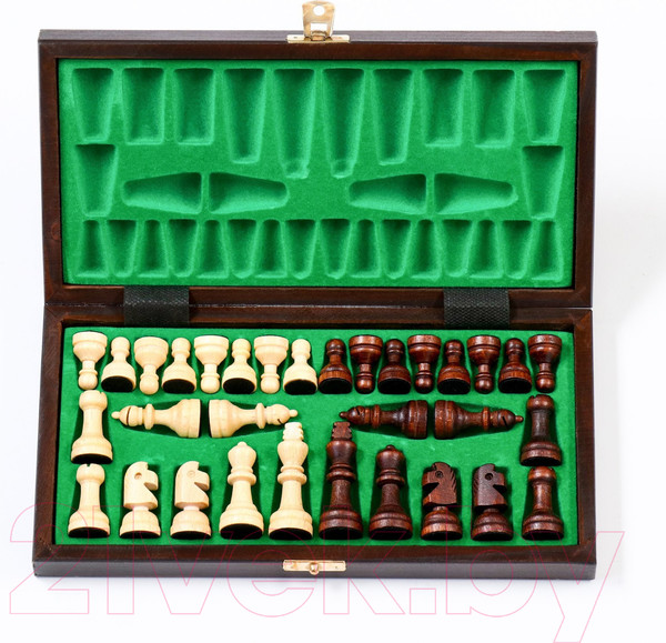Изображение товара Шахматы Sima-Land 4963450
