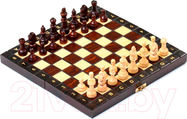 Изображение товара Шахматы Sima-Land 4963450