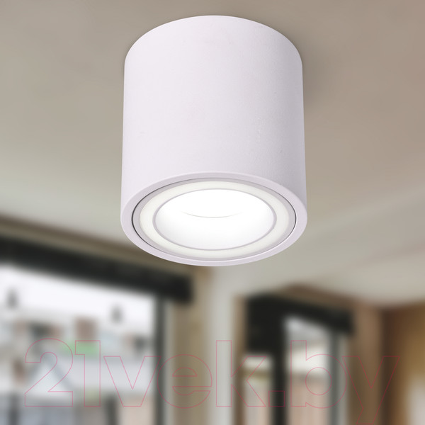 Изображение товара Точечный светильник ЭРА OL47 WH MR16 / Б0059795