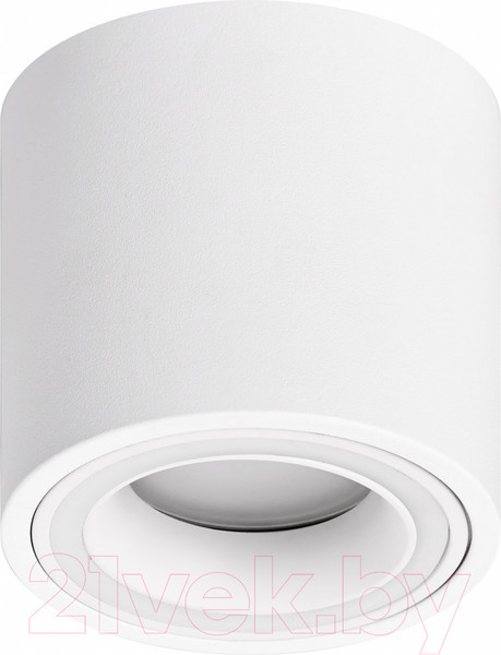 Изображение товара Точечный светильник ЭРА OL47 WH MR16 / Б0059795