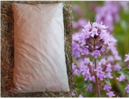 Изображение товара Подушка для бани Астрадом Из лугового сена 60x40x8 (с чабрецом)