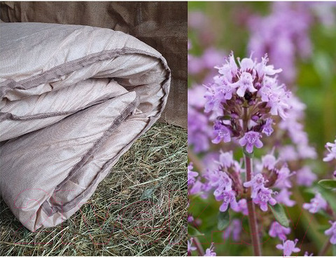 Изображение товара Матрас для бани Астрадом Из лугового сена 190x77x11 (с чабрецом)