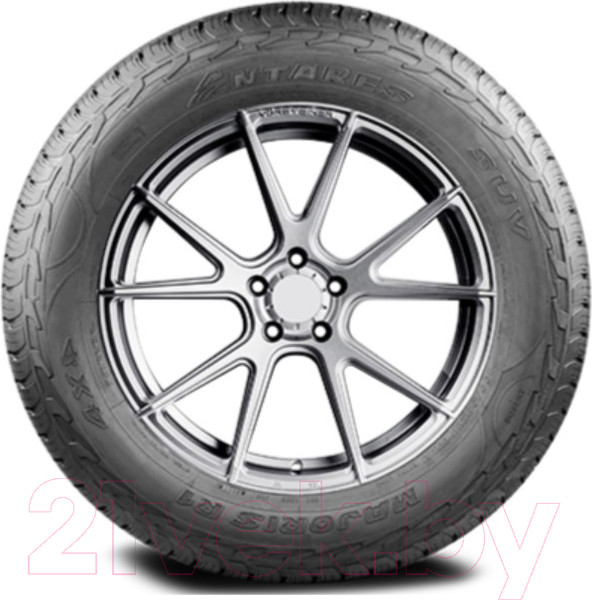 Изображение товара Летняя шина Antares Majoris R1 255/55R19 111V