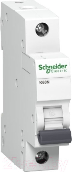 Изображение товара Выключатель автоматический Schneider Electric A9K01106