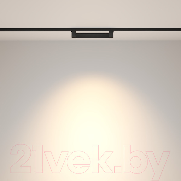 Изображение товара Трековый светильник Maytoni Points TR010-1-10W4K-M-B