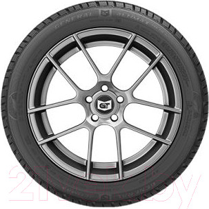 Изображение товара Зимняя шина GENERAL Altimax Arctic 12 185/65R14 90T (шипы)