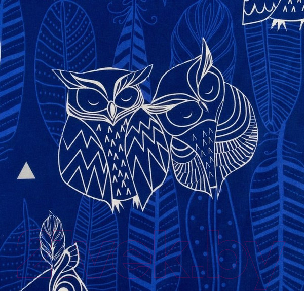 Изображение товара Комплект постельного белья Этель Ушастые совы / 3988367