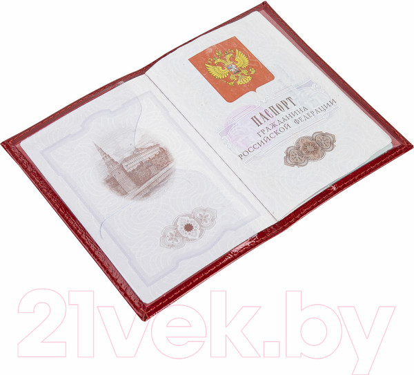 Изображение товара Обложка на паспорт Brauberg Impression / 238211 (красный)