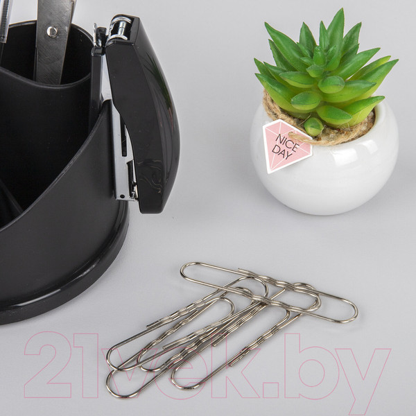 Изображение товара Скрепки Brauberg 270450 (50шт)