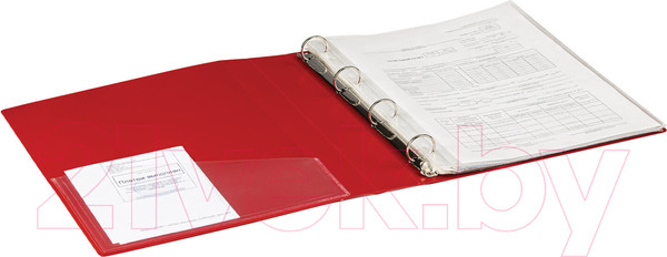 Изображение товара Папка для бумаг Brauberg Extra / 270549 (красный)
