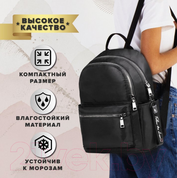 Изображение товара Рюкзак Brauberg Podium / 270816 (черный)