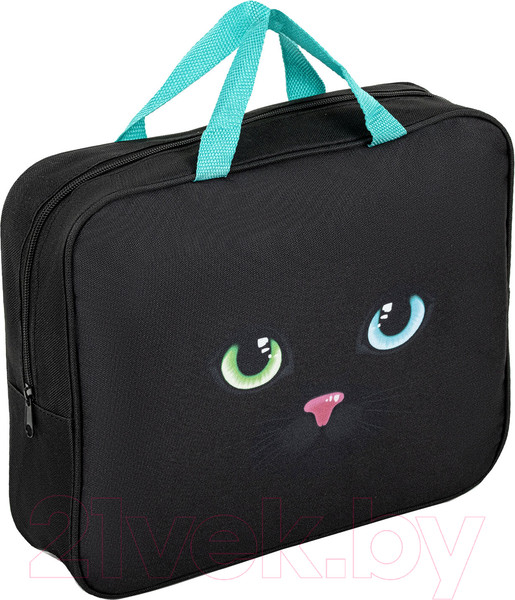 Изображение товара Набор для школы Brauberg Black Cat / 271434