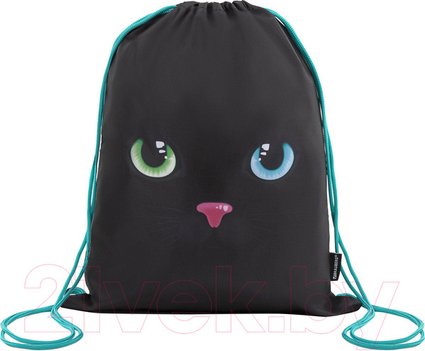 Изображение товара Набор для школы Brauberg Black Cat / 271434
