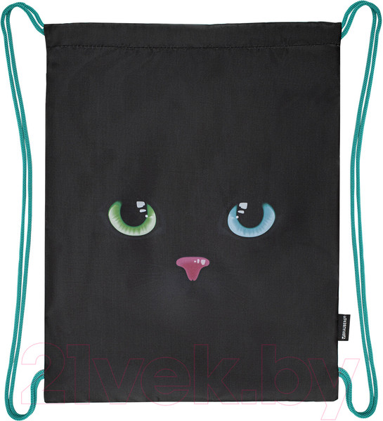 Изображение товара Набор для школы Brauberg Black Cat / 271434