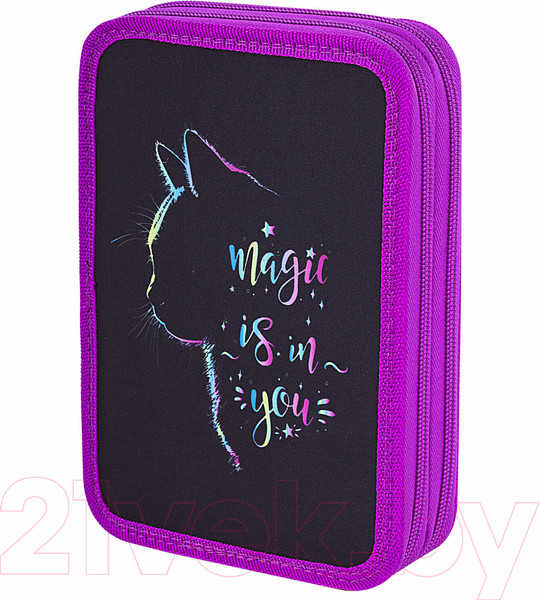 Изображение товара Пенал Brauberg Magic Cat / 271542