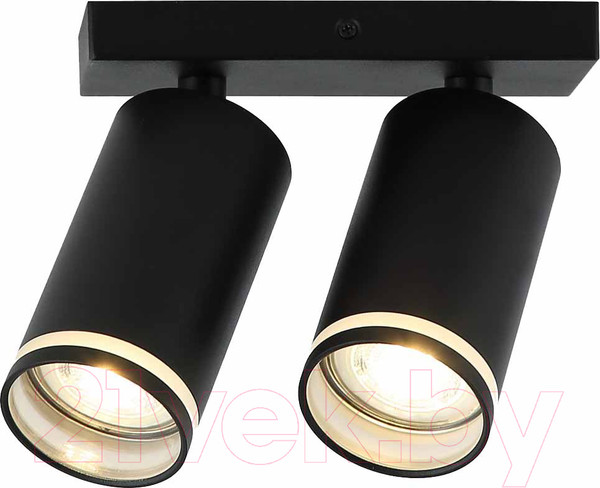 Изображение товара Спот Imex IL.0005.2001-2 BK (черный)
