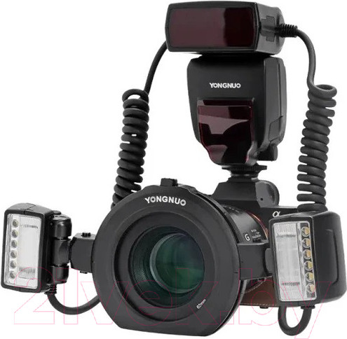 Изображение товара Вспышка кольцевая Yongnuo YN-24EX Macro для Sony