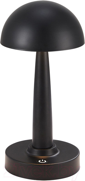 Изображение товара Прикроватная лампа Kinklight Хемуль 07064-C.19 (черный)