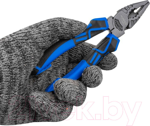 Изображение товара Плоскогубцы Forsage F-611150DS