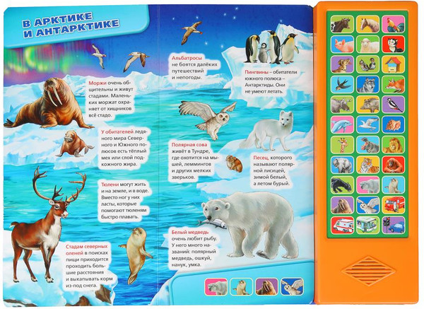 Изображение товара Музыкальная книга Умка Мир вокруг нас 33 кнопки