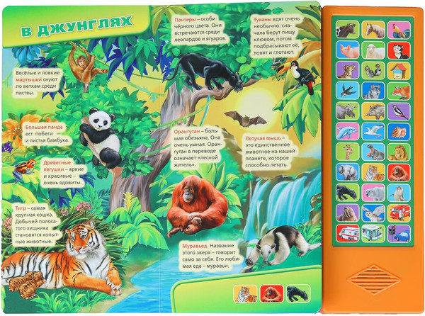 Изображение товара Музыкальная книга Умка Мир вокруг нас 33 кнопки