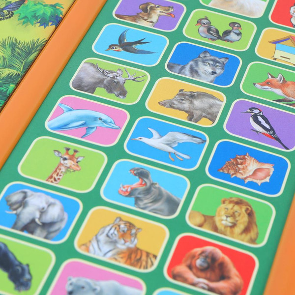 Изображение товара Музыкальная книга Умка Мир вокруг нас 33 кнопки