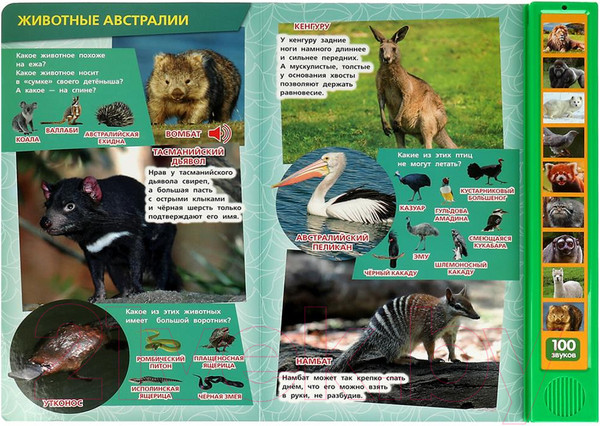 Изображение товара Музыкальная книга Умка 100 голосов животных 10 кнопок