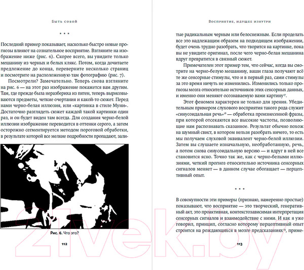 Изображение товара Книга Альпина Быть собой. Новая теория сознания (Анил Сет)