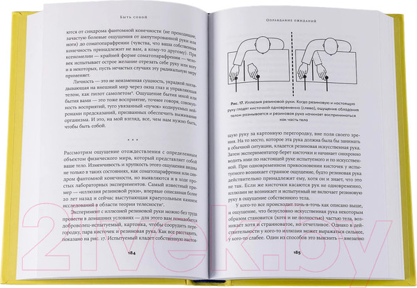 Изображение товара Книга Альпина Быть собой. Новая теория сознания (Анил Сет)