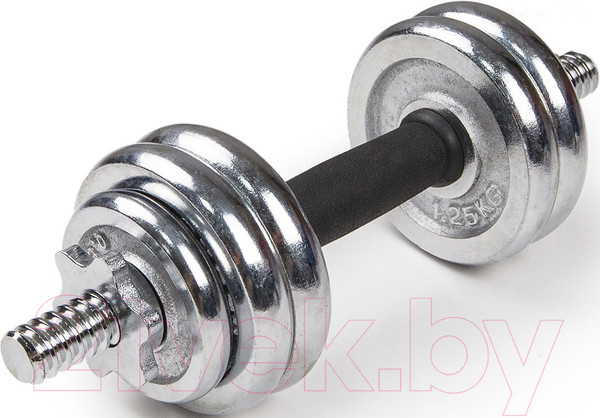 Изображение товара Набор гантелей разборных Ametist Хромированных (15кг, в чемодане)