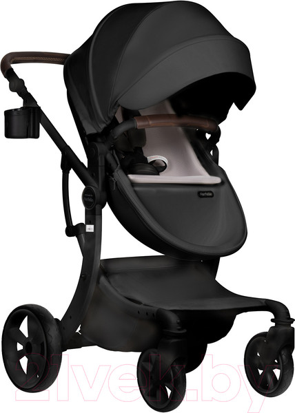 Изображение товара Детская универсальная коляска Aimile Pro (черный)